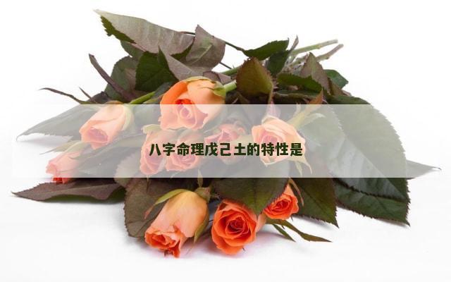 八字命理戊己土的特性是