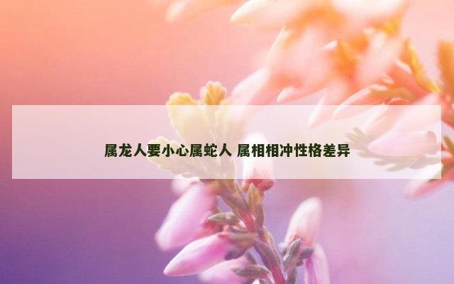 属龙人要小心属蛇人 属相相冲性格差异