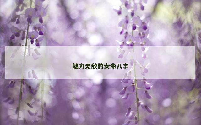 魅力无敌的女命八字