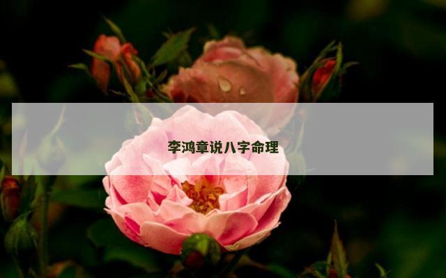 李鸿章说八字命理