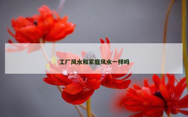工厂风水和家庭风水一样吗