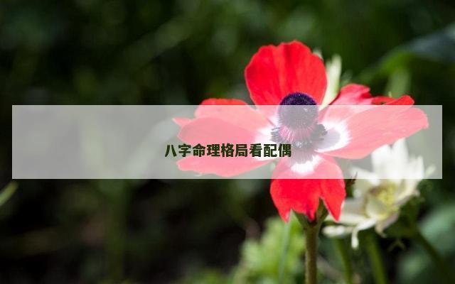 八字命理格局看配偶