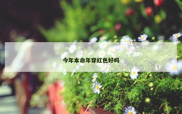 今年本命年穿红色好吗
