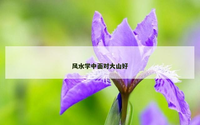 风水学中面对大山好