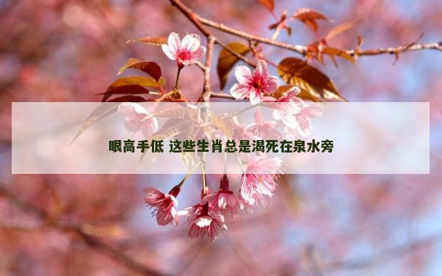 眼高手低 这些生肖总是渴死在泉水旁