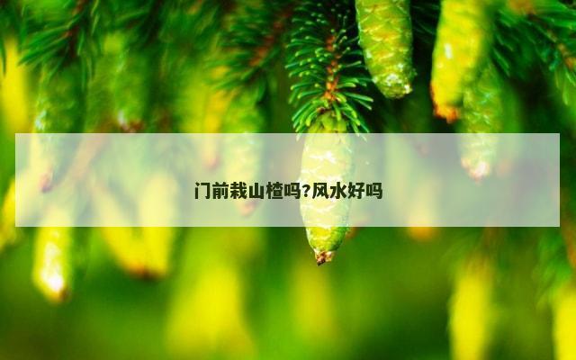 门前栽山楂吗?风水好吗