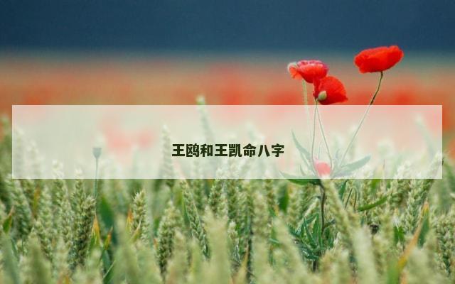 王鸥和王凯命八字