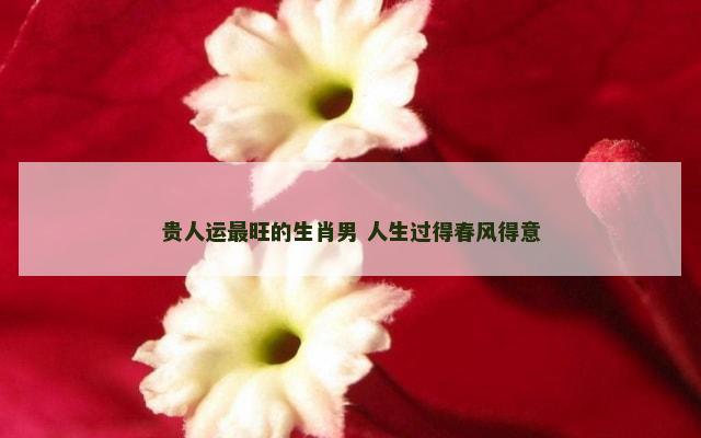 贵人运最旺的生肖男 人生过得春风得意