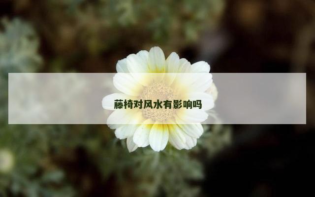 藤椅对风水有影响吗