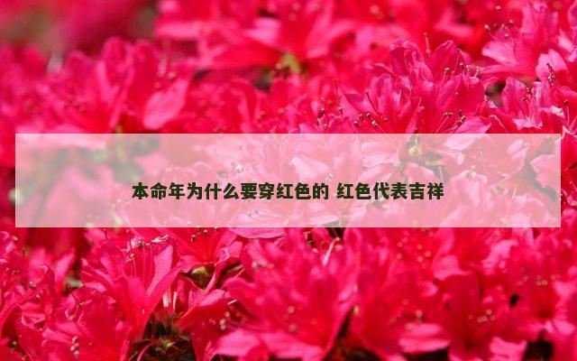 本命年为什么要穿红色的 红色代表吉祥
