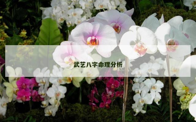 武艺八字命理分析