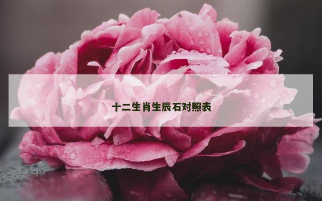 十二生肖生辰石对照表
