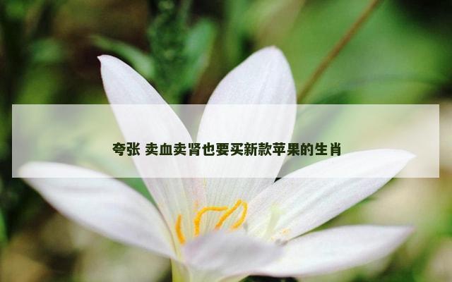 夸张 卖血卖肾也要买新款苹果的生肖