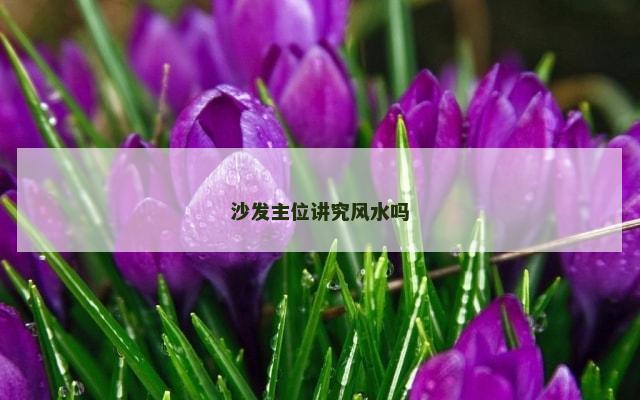 沙发主位讲究风水吗