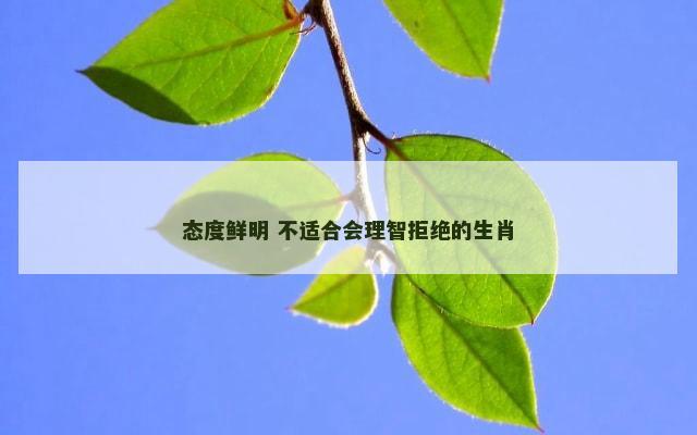 态度鲜明 不适合会理智拒绝的生肖