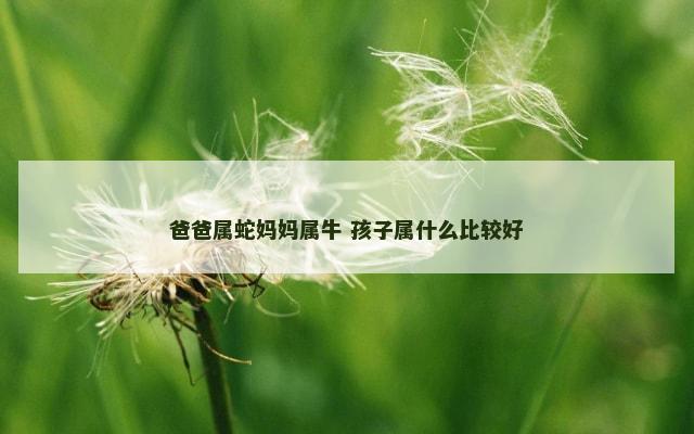 爸爸属蛇妈妈属牛 孩子属什么比较好