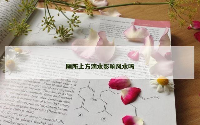厕所上方滴水影响风水吗