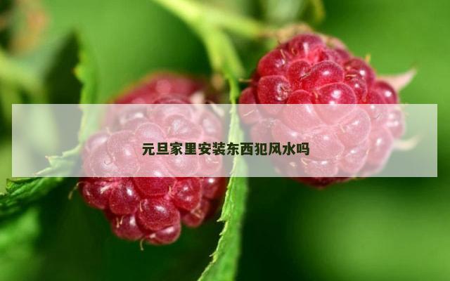 元旦家里安装东西犯风水吗