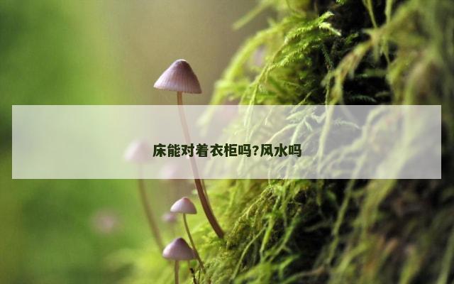 床能对着衣柜吗?风水吗