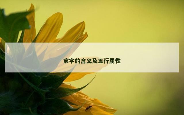 宸字的含义及五行属性