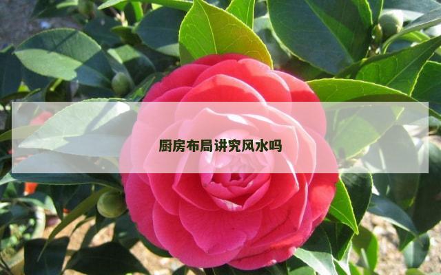 厨房布局讲究风水吗