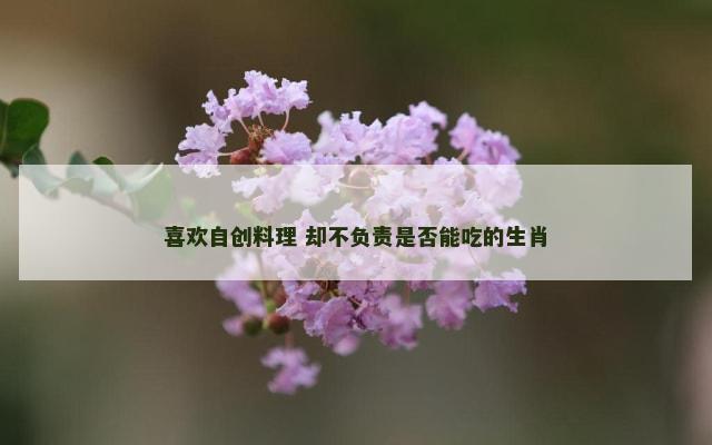 喜欢自创料理 却不负责是否能吃的生肖