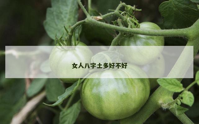 女人八字土多好不好