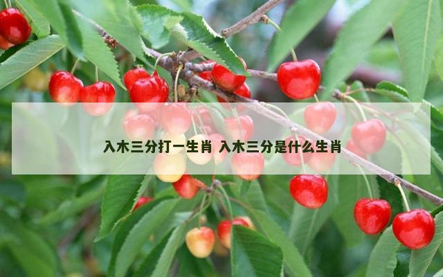入木三分打一生肖 入木三分是什么生肖