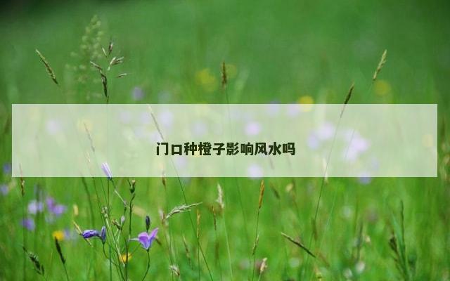 门口种橙子影响风水吗