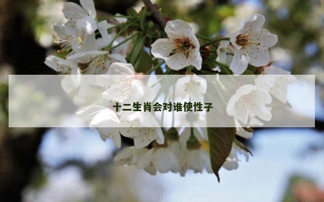 十二生肖会对谁使性子