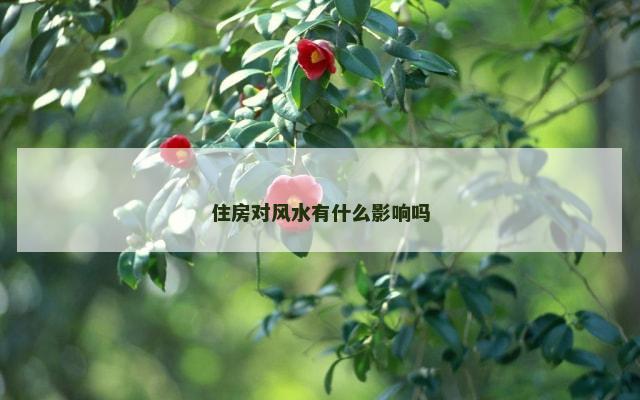 住房对风水有什么影响吗