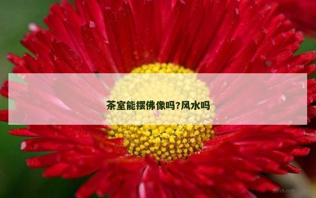 茶室能摆佛像吗?风水吗