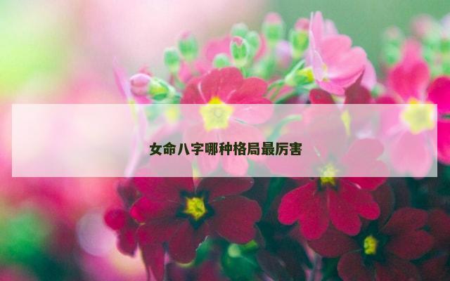 女命八字哪种格局最厉害