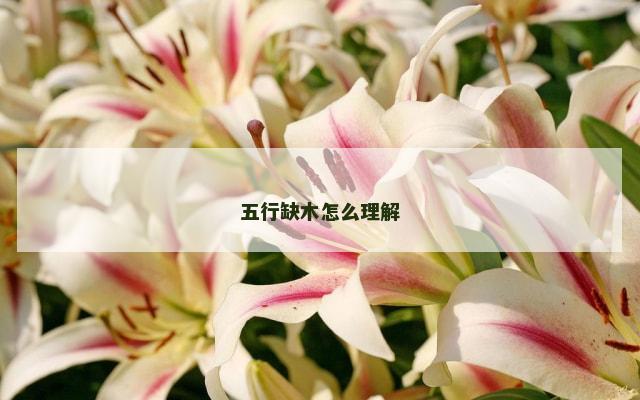 五行缺木怎么理解