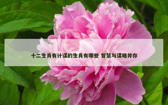 十二生肖有计谋的生肖有哪些 智慧与谋略并存