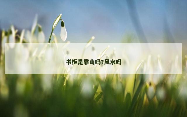 书柜是靠山吗?风水吗