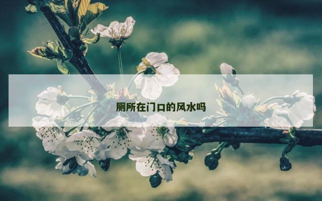 厕所在门口的风水吗