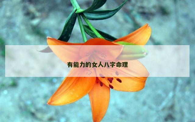 有能力的女人八字命理