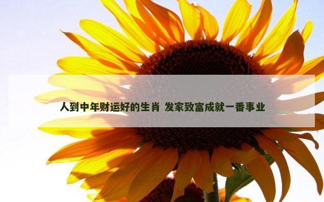 人到中年财运好的生肖 发家致富成就一番事业
