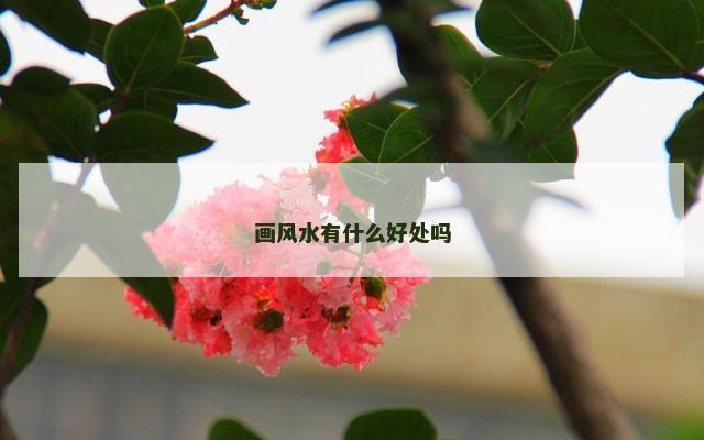 画风水有什么好处吗