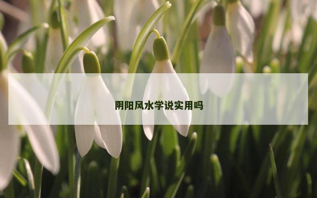 阴阳风水学说实用吗