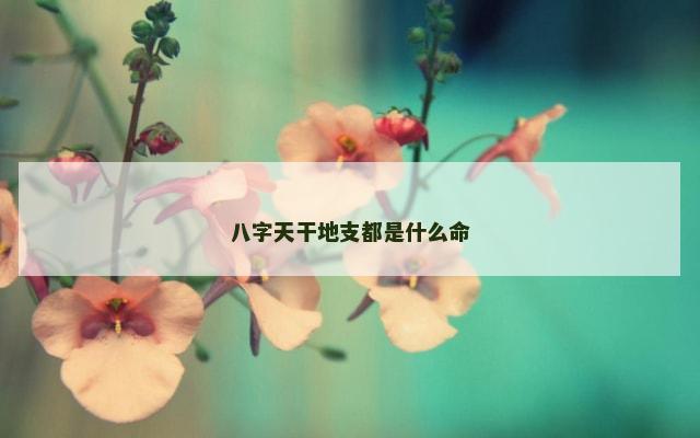 八字天干地支都是什么命