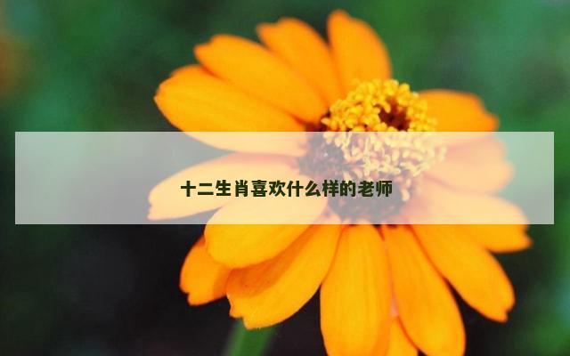 十二生肖喜欢什么样的老师