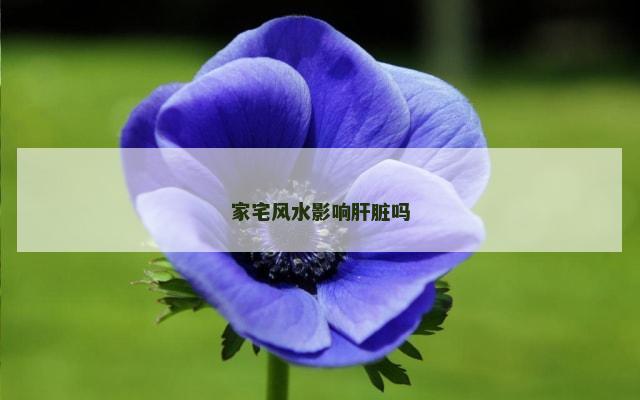 家宅风水影响肝脏吗