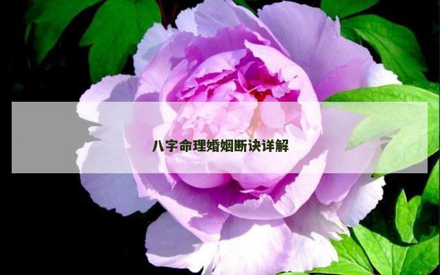 八字命理婚姻断诀详解
