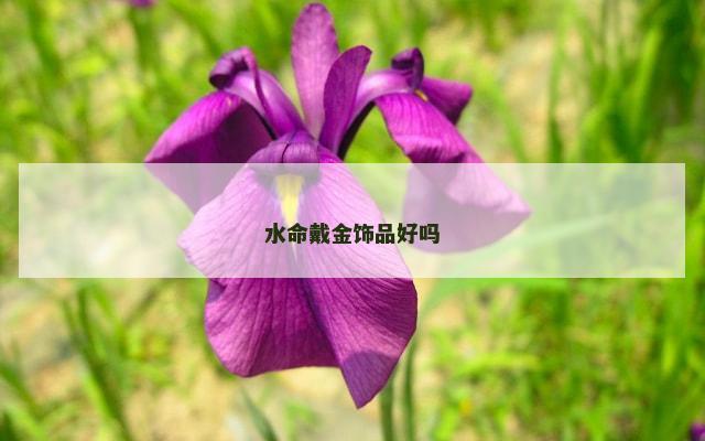 水命戴金饰品好吗