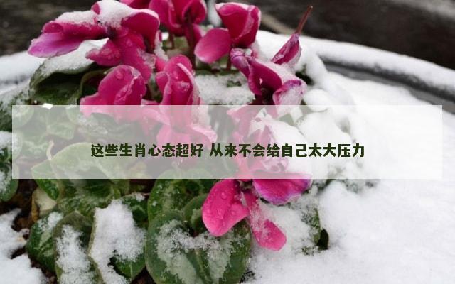 这些生肖心态超好 从来不会给自己太大压力