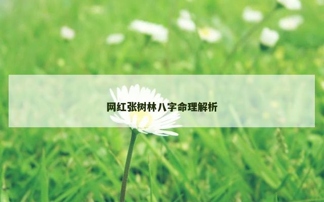 网红张树林八字命理解析