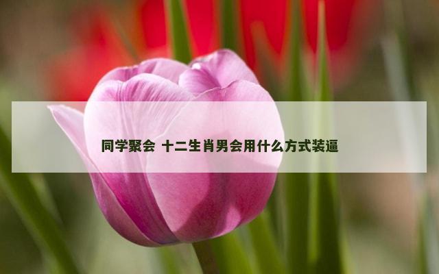 同学聚会 十二生肖男会用什么方式装逼