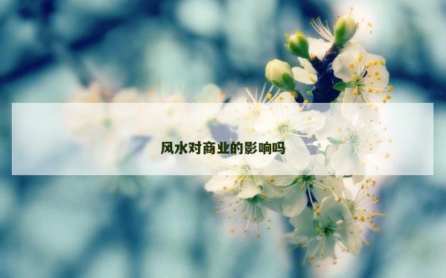 风水对商业的影响吗